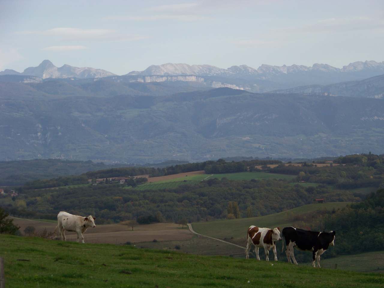 Rencontre ain